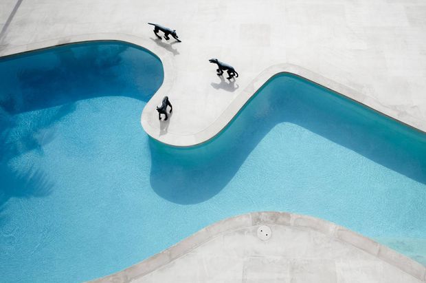 Aerial view of a sculptural swimming pool with organically curved edges, turquoise water, pale concrete paving, and several dark dog-shaped figures along the pool perimeter. The image is dominated by the pool and surrounding hardscape.
