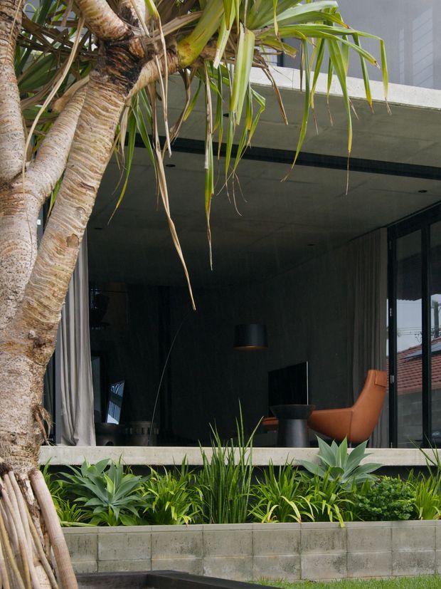 Exterior view of a contemporary residential dwelling framed by tropical planting. A large glazed living room opens onto a raised concrete-block planter, with dark interior finishes, floor-to-ceiling windows, curtains, a pendant light, and a distinctive orange lounge chair visible inside. A mature palm-like tree dominates the foreground, while the building features a flat projecting roof or balcony slab and dark window framing.
