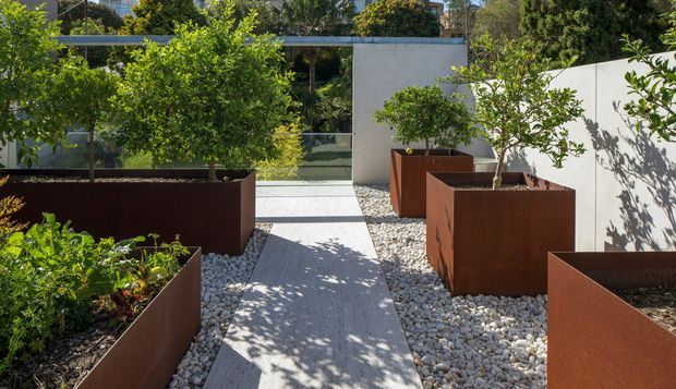 A landscaped courtyard or rooftop garden with a straight pale paved walkway bordered by white decorative gravel and large rust-coloured steel planter boxes containing small trees and dense green planting. A minimalist white wall and glazed modern building form the background, with strong sunlight and crisp planting shadows creating a contemporary outdoor setting.