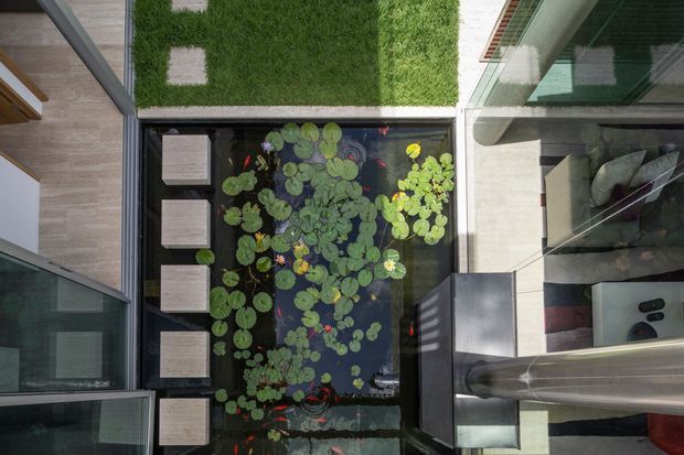 Overhead view of a compact architectural courtyard featuring a rectangular pond filled with water lilies and aquatic plants, stepping stones across a strip of lush grass, and surrounding glazed interior spaces. The image highlights indoor-outdoor integration, reflective glazing, timber flooring, and a sculptural metal element along the courtyard edge.