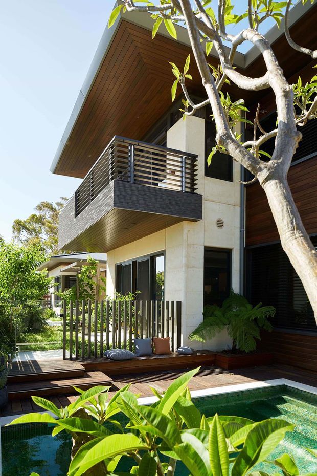 A contemporary multi-level residential exterior with a projecting balcony, broad timber-lined soffits, exposed pale concrete walls, dark horizontal cladding, and horizontal metal balcony rails. A timber deck and built-in seating surround a small tiled plunge pool, with lush tropical planting and a mature frangipani tree framing the foreground.