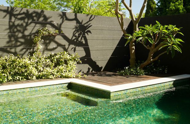 A landscaped courtyard pool with turquoise mosaic-tiled water and pool coping, bordered by a raised timber deck and dense planting. Dark rendered masonry boundary walls and sculptural trees create strong geometric shadows in bright sunlight, giving the space a secluded, contemporary outdoor character.