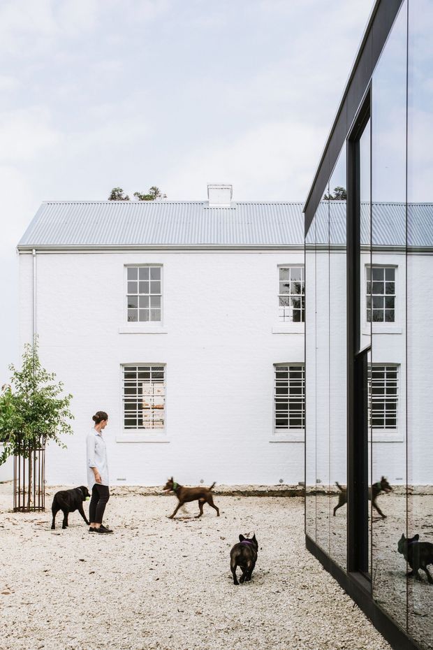 Exterior view of a white-painted masonry building with a corrugated light-grey pitched roof and multi-pane windows, facing a gravel courtyard. A contemporary black-framed floor-to-ceiling glazed wall reflects the courtyard and dogs, creating a strong contrast between the historic-looking building and modern addition.
