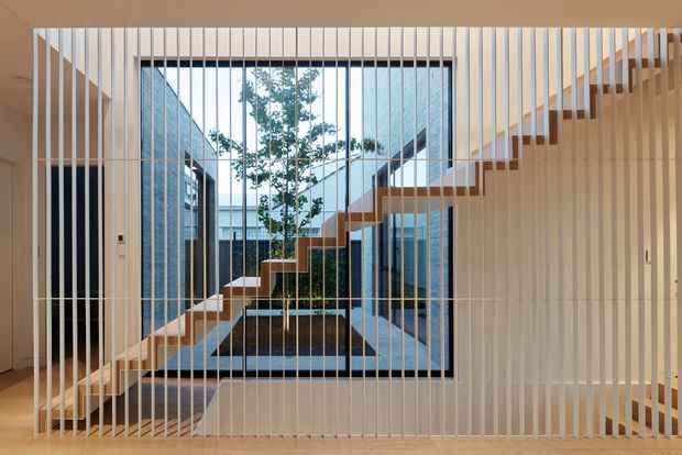 Interior view of a contemporary, light-filled stair hall organised around a glazed courtyard. A floating timber stair with slim metal supports rises diagonally across the frame, while a dense screen of vertical white slats creates a translucent partition in the foreground. Full-height glazing, pale walls, timber flooring and a planted courtyard beyond establish a calm, refined architectural composition.