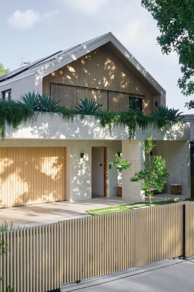 A contemporary two-storey residential facade viewed from the street. The house combines a pale concrete or rendered ground floor with a warm timber-clad upper gable, dark-framed windows, a timber garage door, and a tall vertical-slat front fence. A planted balcony or terrace with cascading greenery and sculptural plants softens the facade, while dappled sunlight creates patterned shadows across the building.