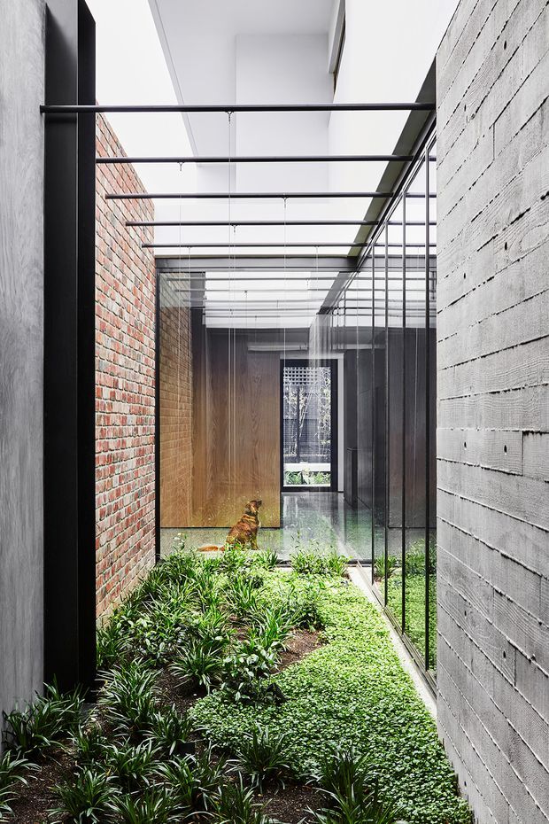 A narrow, elongated internal courtyard or planted lightwell enclosed by exposed red brick and pale grey concrete block walls. Black steel framing and suspended horizontal beams span overhead, with extensive floor-to-ceiling glazing along one side. Dense low planting fills the courtyard, creating a bright, sheltered architectural garden with views into the adjoining interior.