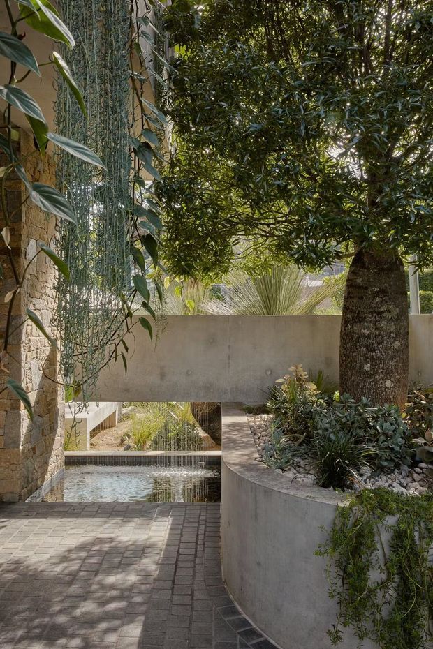 A landscaped courtyard garden beside a stone-clad building, featuring a mature tree in a curved raised concrete planter, dense planting, hanging greenery, paved brick flooring, and a shallow reflective water feature with a small cascade. The space has a calm, natural architectural character with layered planting and filtered sunlight.