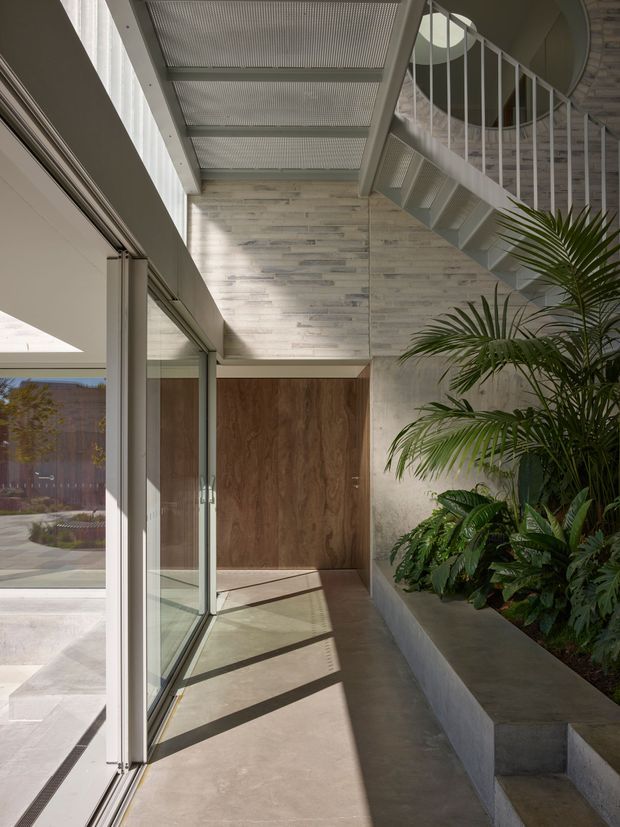A bright, double-height interior entry space with full-height glazed sliding doors on the left, a warm timber door at the end, a steel open-riser stair and bridge overhead, and a raised concrete planter filled with lush indoor plants. Pale wood-look wall cladding, concrete surfaces, and strong sunlight create a refined contemporary atmosphere.