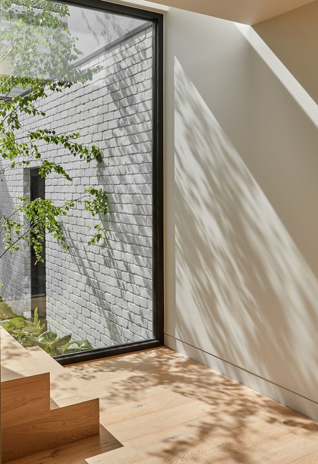 A sunlit modern interior beside a full-height black-framed window, with pale timber flooring and matching timber stair treads in the foreground. A white painted brick courtyard wall and leafy planting are visible through the glazing, while strong diagonal sunlight and foliage shadows create a calm, architectural composition.