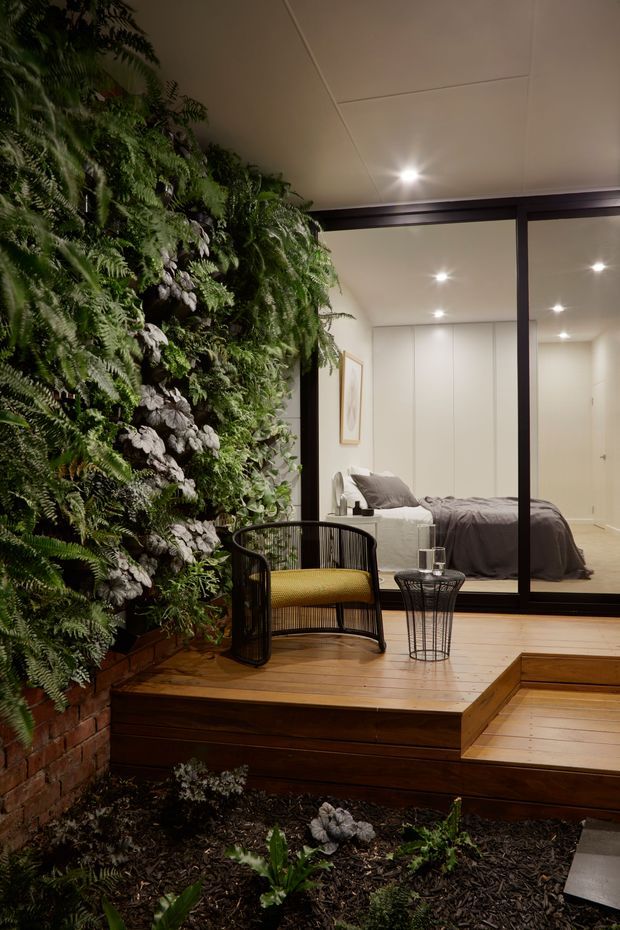 A warmly lit interior courtyard or sunken garden beside a bedroom. A lush vertical garden of ferns and other greenery grows from a brick planter wall, while a raised timber deck includes a black-framed lounge chair with a mustard cushion and a small wire side table. Behind the dark-framed glass partition, a simply furnished bedroom with a grey bedspread is visible. The space combines natural planting, timber decking, brickwork, and contemporary glazing.