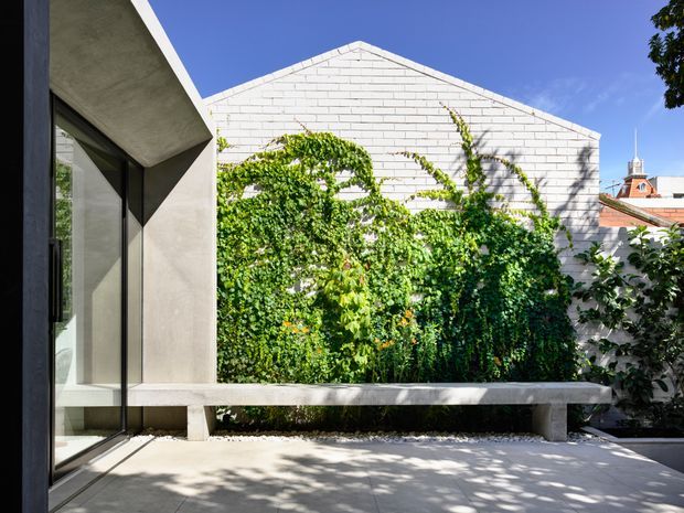 A contemporary courtyard terrace viewed from beside a minimalist concrete-and-glass building. A long pale concrete bench runs along a lush vine-covered garden wall, with a white-painted brick gable wall and neighbouring pitched roof visible beyond. The space is sunlit and sheltered, with large dark-framed glazing, a paved floor, and strong geometric architectural forms.