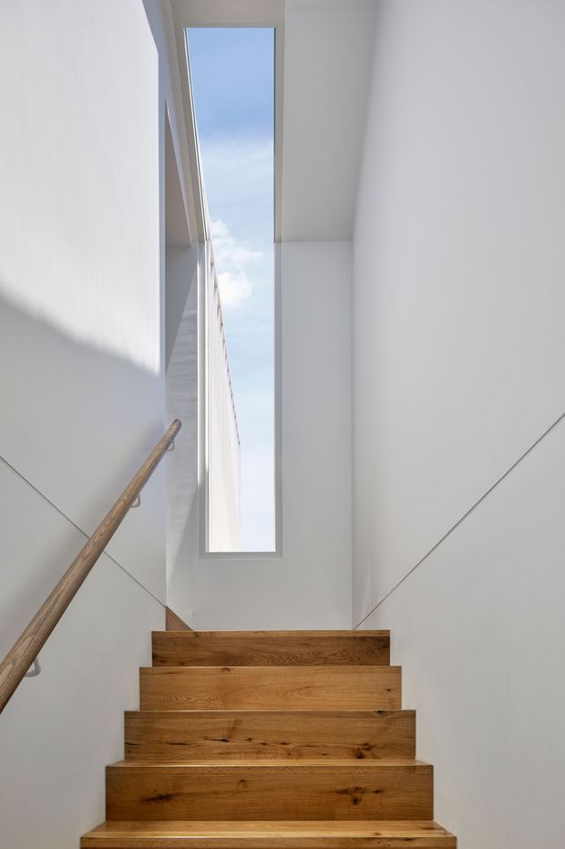 A narrow, minimalist stairway with broad solid timber treads and a timber handrail, enclosed by smooth white walls. A tall vertical skylight or clerestory window brings daylight into the stairwell, creating a bright, airy architectural composition. The stair edges and wall junctions are crisp and contemporary.