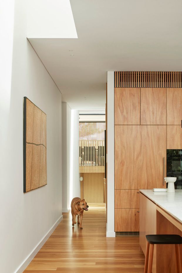 A bright, refined residential interior view looking along a timber-floored hallway beside a contemporary kitchen. Full-height warm timber cabinetry and vertical timber slat screening define the kitchen and the view toward the rear of the home. White walls and ceiling create a clean backdrop, while a large textured timber artwork adds warmth to the corridor. A kitchen island with a pale stone benchtop is visible in the foreground.
