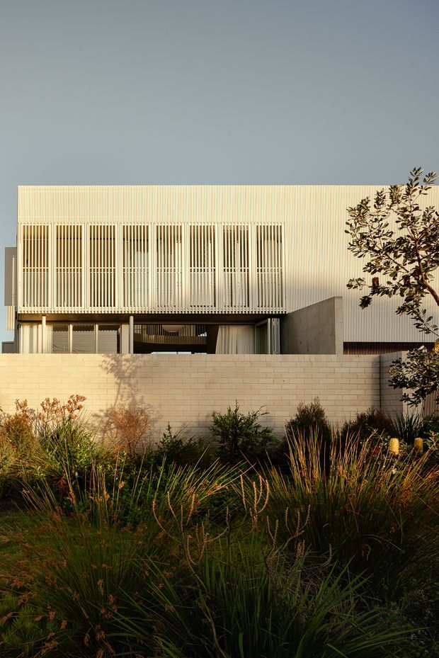Exterior view of a contemporary multi-level building with a pale corrugated metal facade, extensive vertical screening over upper-level glazing, exposed concrete elements, and a light masonry boundary wall. Native-style landscaped planting fills the foreground, with warm late-day sunlight creating strong shadows.