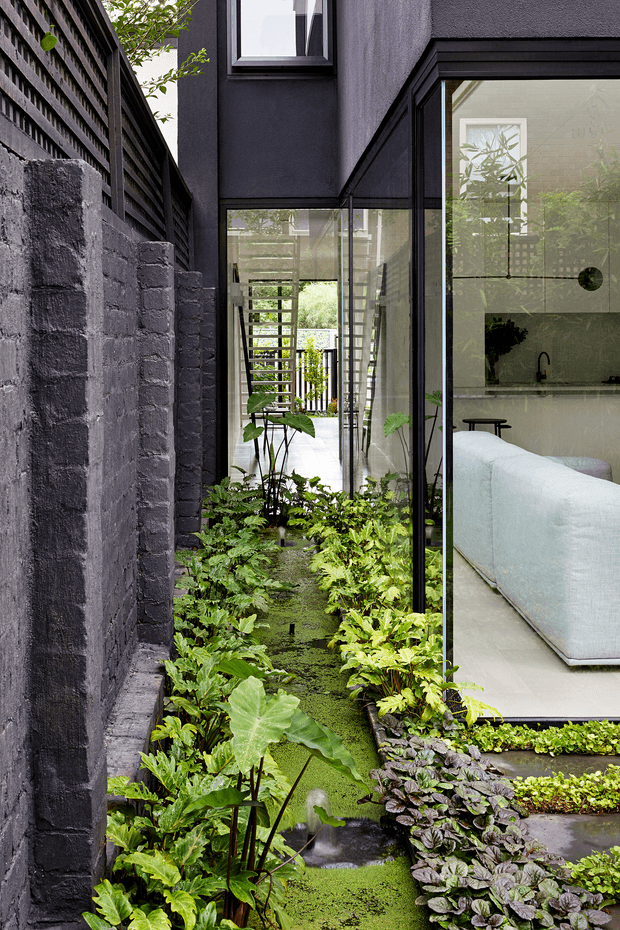 A narrow landscaped courtyard or side passage beside a dark rendered and brick residential facade. Black-framed floor-to-ceiling glazing reveals a bright contemporary living room and kitchen, while a lush planted water feature or rain garden runs through the passage. The composition contrasts deep charcoal walls and frames with abundant green planting and reflective water, creating a calm, biophilic urban residence.