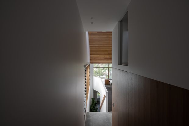 A narrow, dimly lit modern stairway or hallway descending toward a brighter lower-level space. The corridor has smooth dark grey walls, a dark timber-clad feature wall and cabinetry on the right, a warm timber ceiling or wall panel at the far end, recessed ceiling lights, and a glimpse of a stair balustrade, glazing, and indoor planting below.