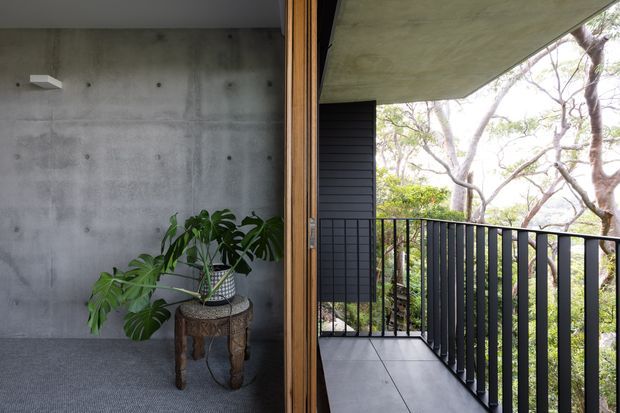 A contemporary interior opening directly onto a covered balcony or terrace. The room has a raw concrete feature wall, grey carpet, and a timber-framed glazed opening with a potted tropical plant on a rustic side table. Outside, the balcony has dark metal balustrades, a concrete soffit, tiled flooring, and views into leafy vegetation.