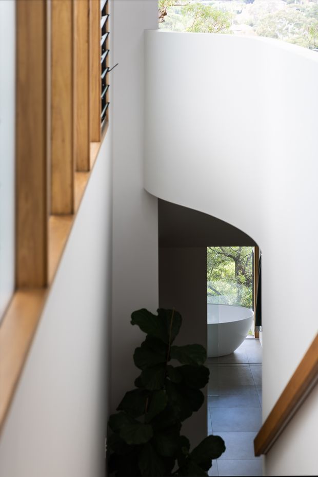 A sculptural interior stairway with a sweeping white curved balustrade and dark understair opening. Warm timber handrails and vertical timber detailing line the stair, while a freestanding white bathtub is visible through the opening in the adjoining bathroom. Large glazing brings in views of leafy vegetation, and a potted plant occupies the lower foreground.
