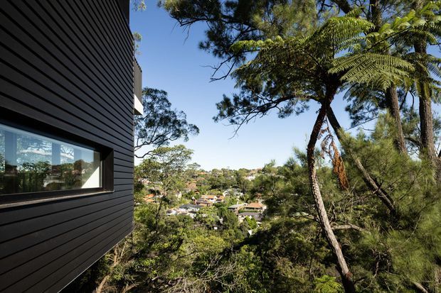 Exterior architectural view of a contemporary dark-clad building facade with a horizontal window, positioned among dense native vegetation and overlooking a leafy suburban landscape. The image highlights the relationship between the building envelope, surrounding bushland, and elevated outlook under clear daylight.