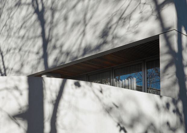 Minimalist contemporary building exterior with crisp white rendered walls, a deep projecting flat roof, dark recessed soffit slats, and large glazed openings. Strong tree shadows fall across the facade, while reflections in the glazing show surrounding trees and sky.