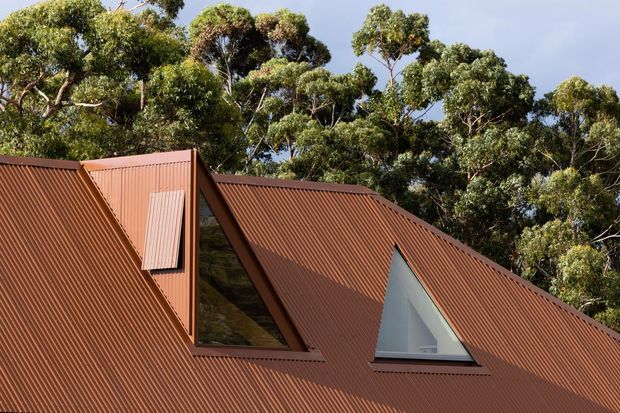 Close-up exterior view of a distinctive steeply pitched roof clad in reddish-brown corrugated metal, with triangular glazed dormer-like openings and a projecting vertical roof element. Dense eucalyptus-like trees surround the building, creating a bushland setting. The composition focuses on the roof form and exterior envelope.