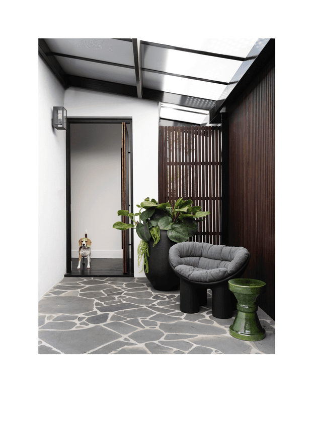 A contemporary covered entry courtyard or foyer with translucent overhead roofing, white walls, dark timber screens, and a black-framed glazed doorway. Irregular grey stone paving extends across the floor, with a large potted plant, sculptural dark lounge chair, and green side table creating a refined indoor-outdoor threshold. A small dog is visible through the doorway.