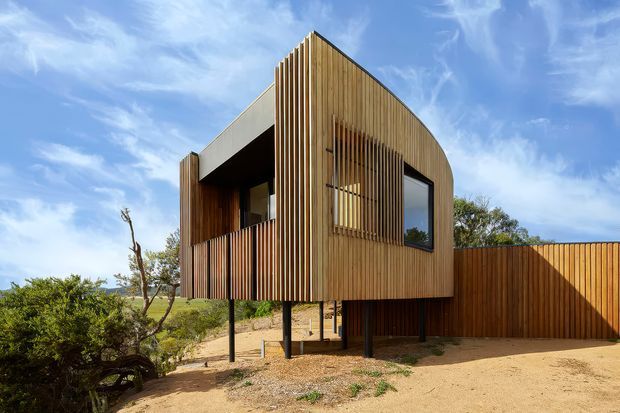 Exterior view of a compact elevated contemporary house set in a dry, landscaped site. The building has a sculptural curved roofline and facade, extensive vertical timber screening and cladding, dark recessed openings, and a raised structure supported on slender posts. A matching timber privacy fence and driveway occupy the foreground.