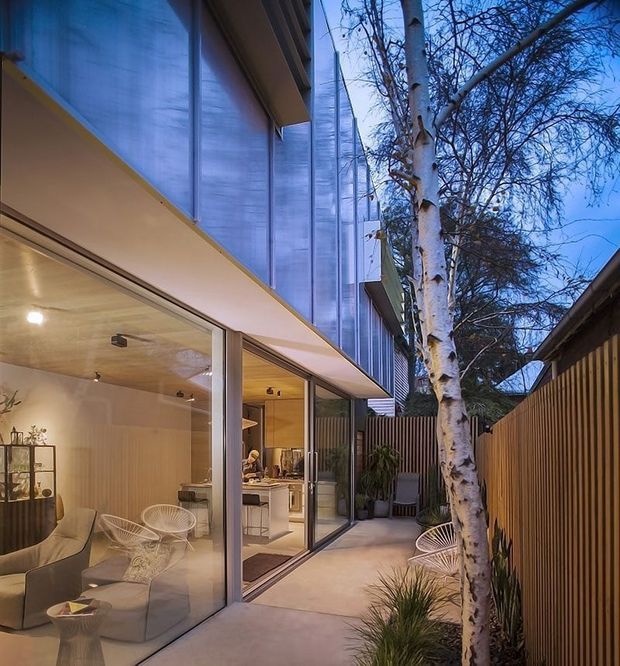 A contemporary residential courtyard viewed from outdoors, with floor-to-ceiling glazing opening into a warm living room and kitchen. The home has a projecting upper level clad in translucent or corrugated metal panels, slim dark window frames, timber privacy fencing, and a pale concrete patio. A mature tree and integrated planting soften the narrow side courtyard, while the interior features neutral furnishings, timber-toned surfaces, and sculptural wire chairs.
