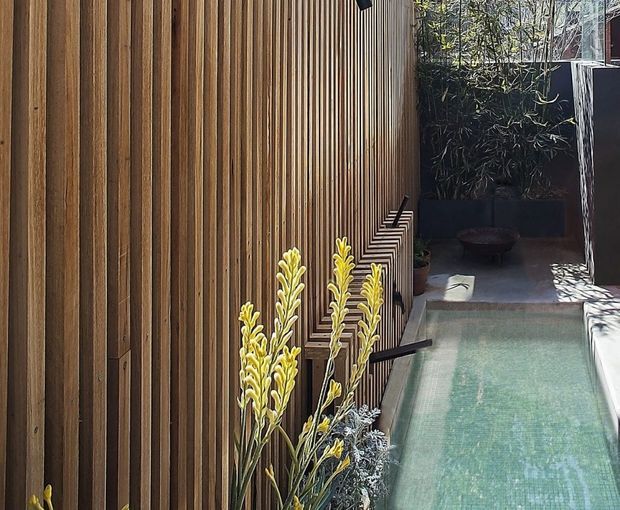 A narrow outdoor courtyard passage beside a long vertical timber-slatted wall, with a shallow rectangular plunge pool or water feature occupying the right side. The space includes dense planting, dark boundary walls, concrete paving and strong sunlight, creating a refined contemporary garden setting.