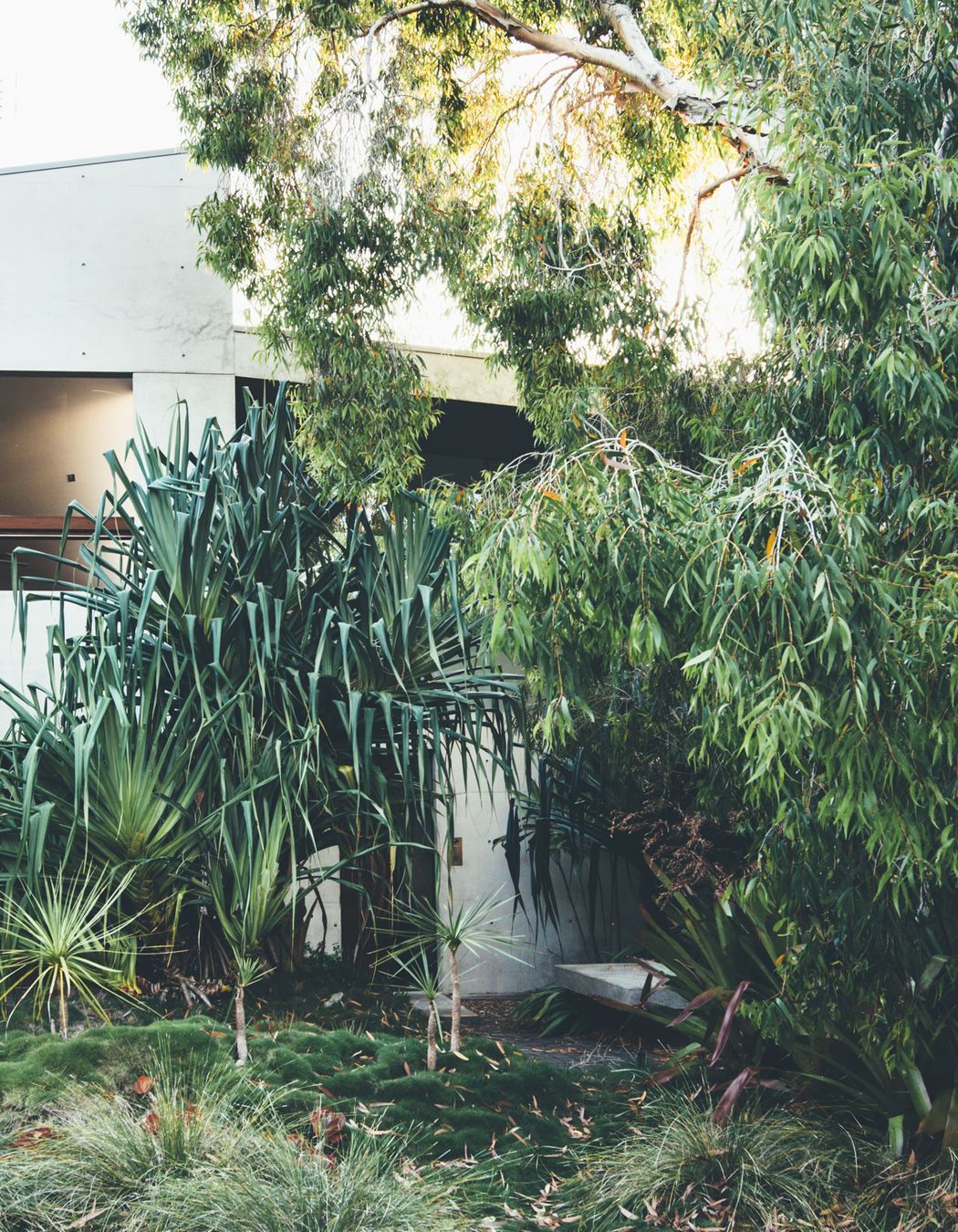 Little Cove Beach House