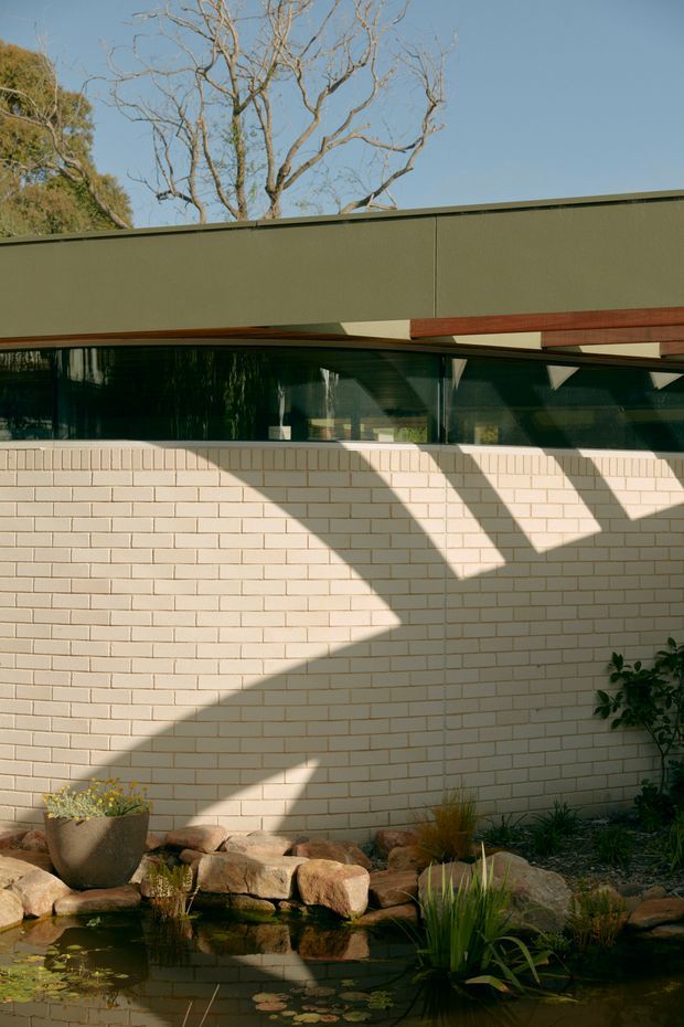 A contemporary low-profile building facade viewed from a landscaped garden. The facade combines a long olive-green horizontal parapet or fascia, deep glazing beneath, exposed reddish timber beams, and a pale cream brick wall. Strong afternoon sunlight casts angular structural shadows across the brickwork. In the foreground is a small ornamental pond edged with natural rocks, aquatic plants, and garden planting. Leafless trees rise behind the roofline.