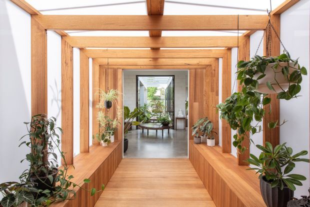 A bright, plant-filled indoor passage or entry gallery framed by repeated warm timber portals and built-in timber planter benches. White walls and translucent roof panels create an airy, sunlit atmosphere, while a glazed opening leads toward a further interior lounge or courtyard-like space. Hanging and potted greenery is integrated throughout the walkway.