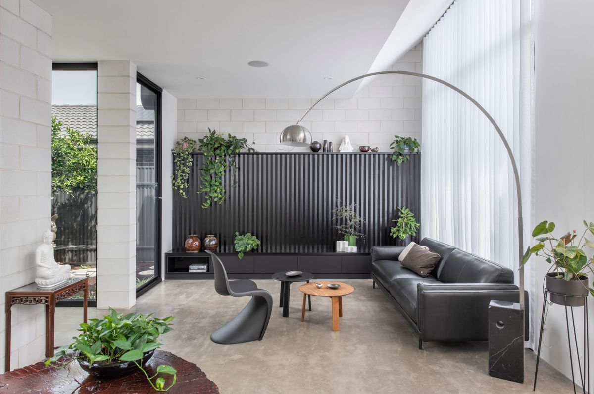 The Cycad House