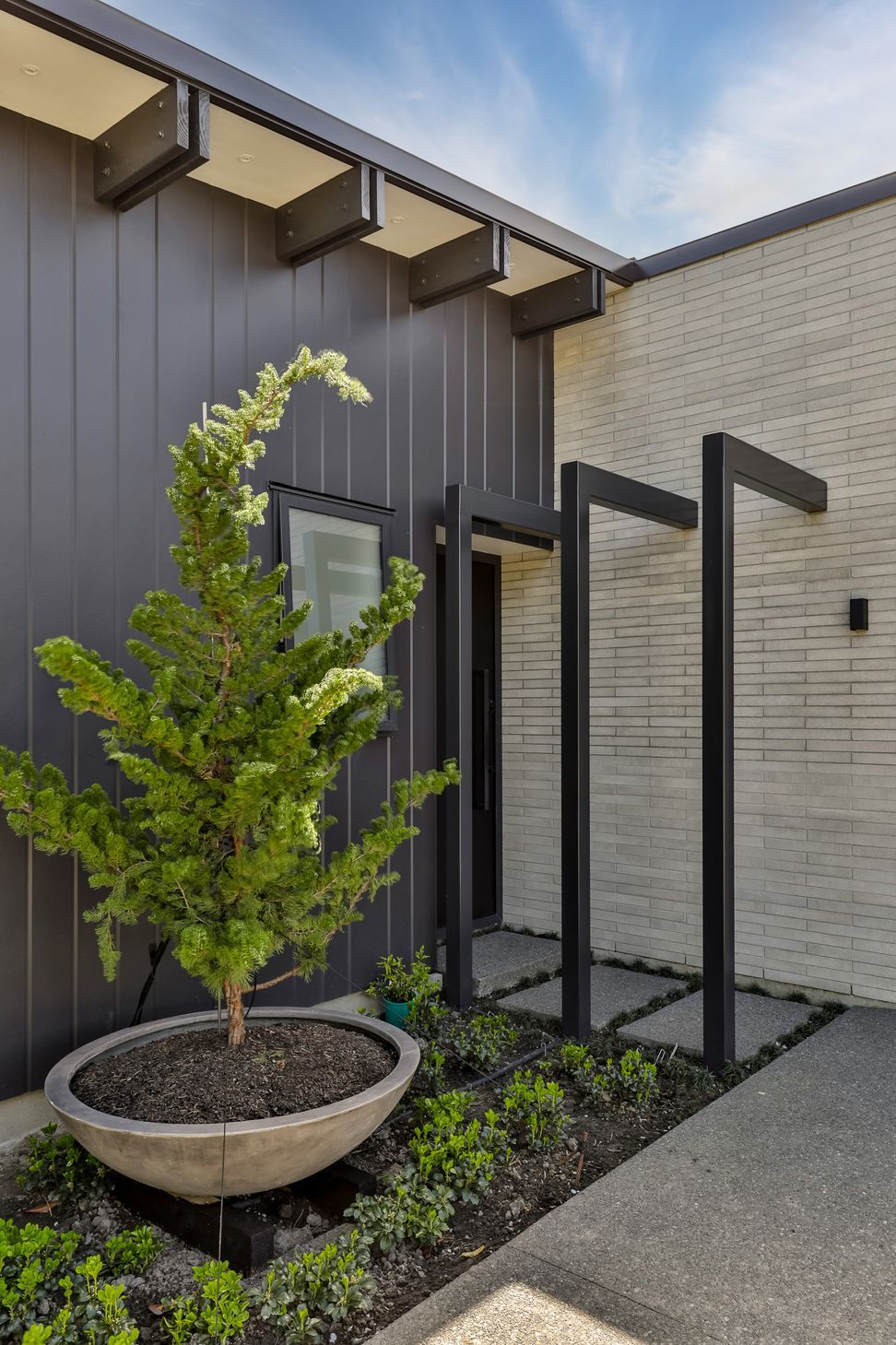 Z8A1154.jpg