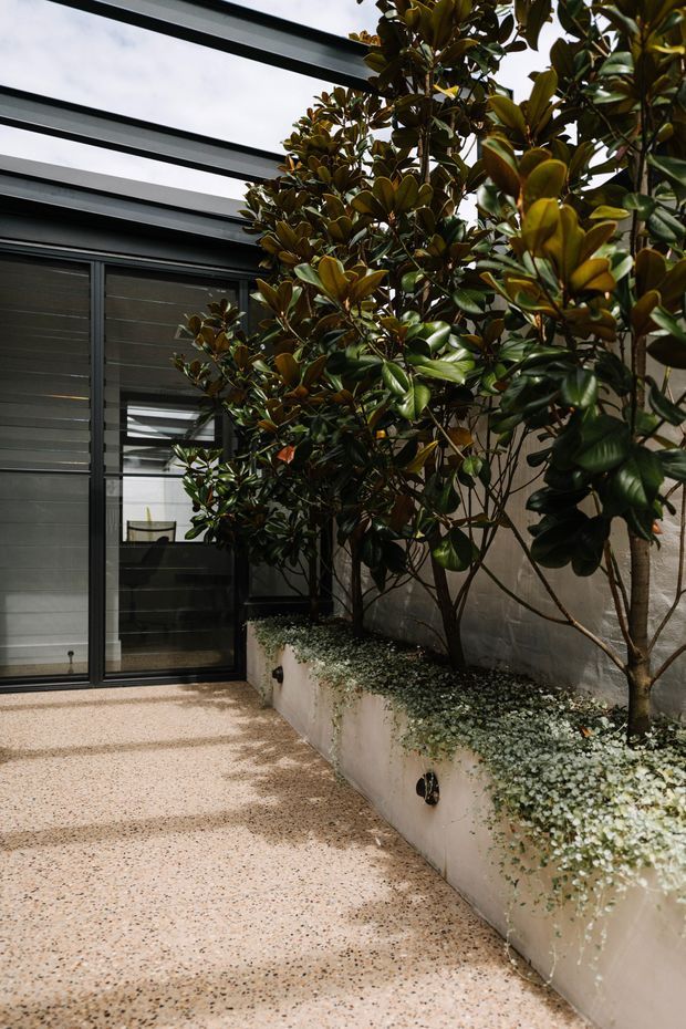 A narrow contemporary courtyard or atrium with a glazed sliding door, dark metal framing, translucent overhead roofing, and a raised concrete planter filled with leafy trees and groundcover. The floor is finished in light terrazzo or exposed aggregate, creating a sheltered indoor-outdoor space with abundant greenery.