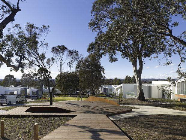 A landscaped residential development viewed along a central timber boardwalk. Low-rise contemporary white dwellings line both sides beneath mature eucalyptus trees, with paved paths, planted beds, open communal space, and distant suburban views. The scene has a clean, modern community-planning character.