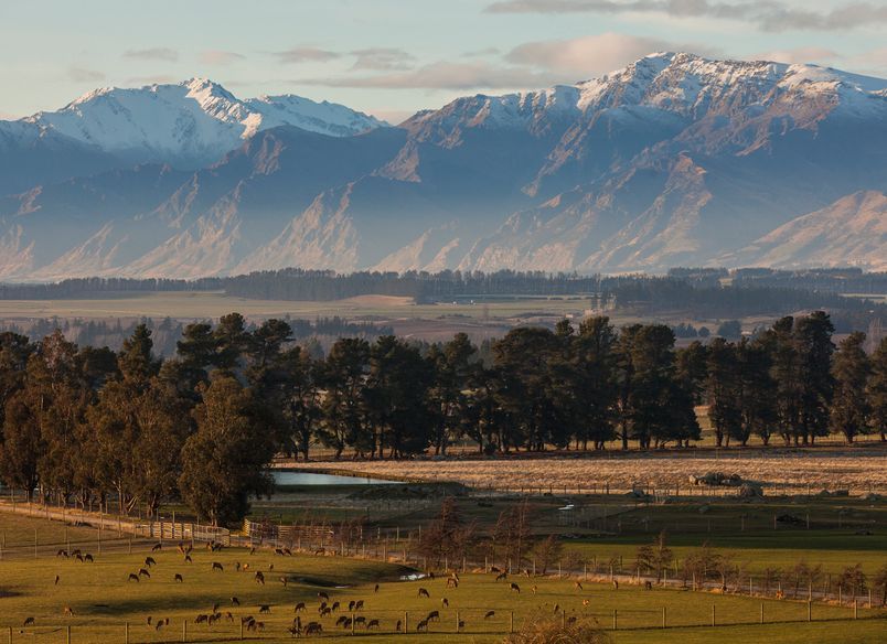 Criffel Station, Wanaka