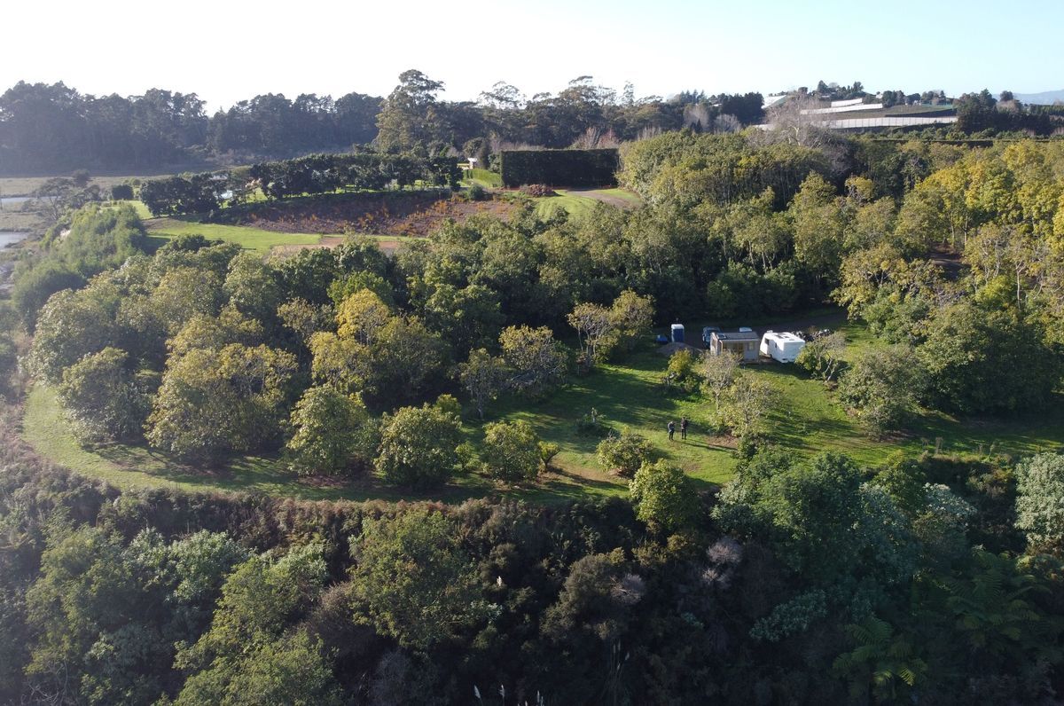 Gill Lane | Te Puna