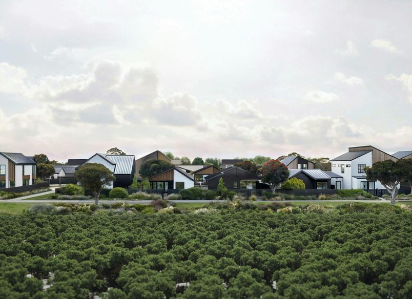 Port Nikau Masterplan