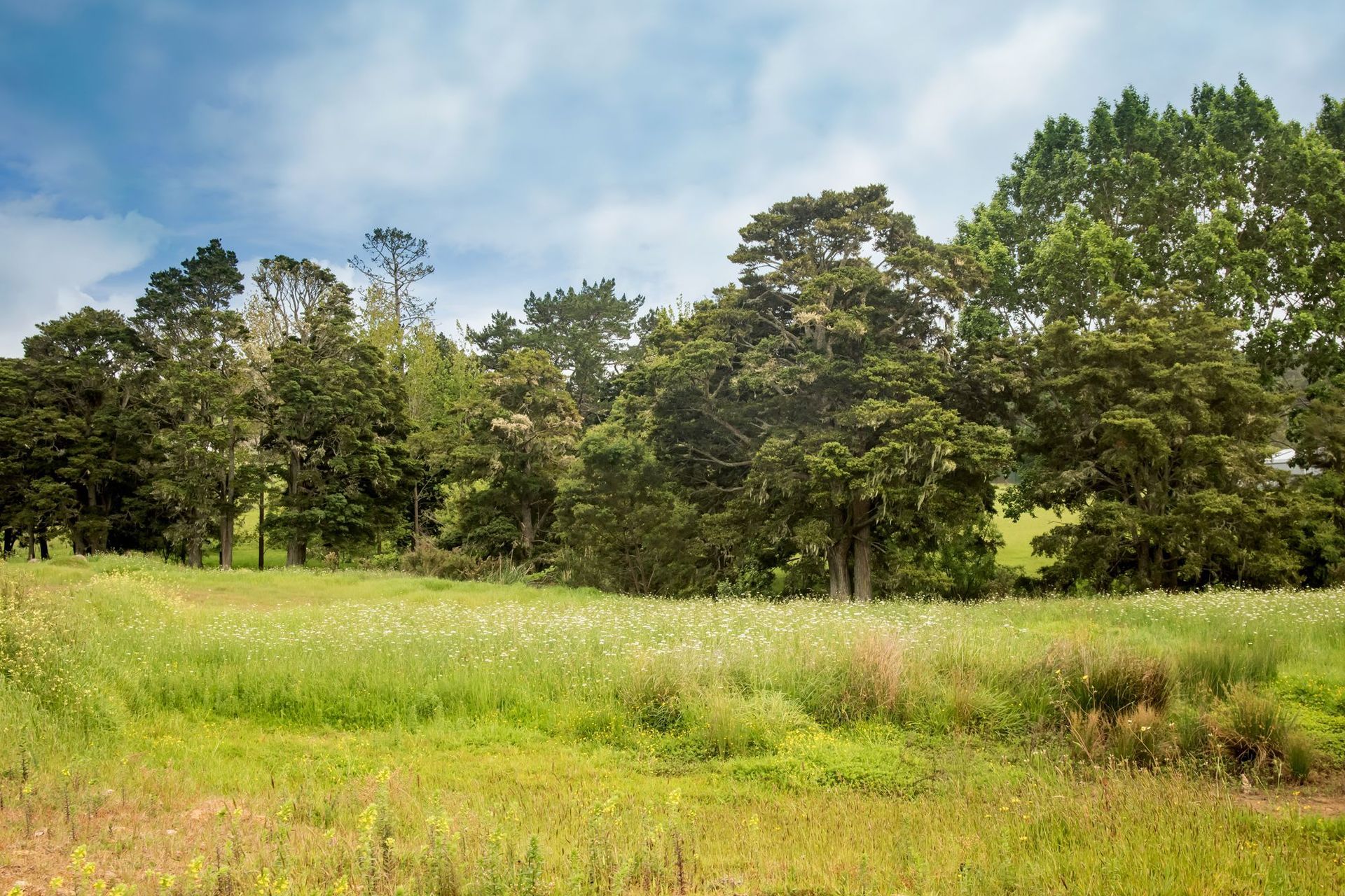 Bush Haven Drive, Kamo, Whangarei