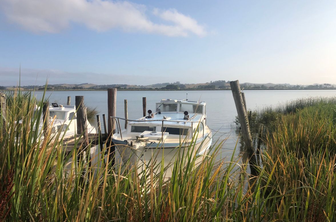 Kaipara Harbour Wharves Feasibility Study