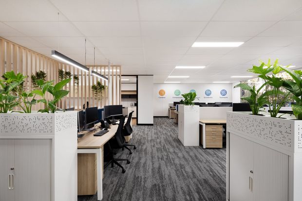 A bright contemporary open-plan office with rows of workstations, computer monitors, black office chairs, white and timber storage cabinetry, and large indoor plants. Decorative timber slat screens divide the workspace, while patterned white partition panels and linear pendant lighting add visual detail. The room has a suspended acoustic tile ceiling and grey patterned carpet.