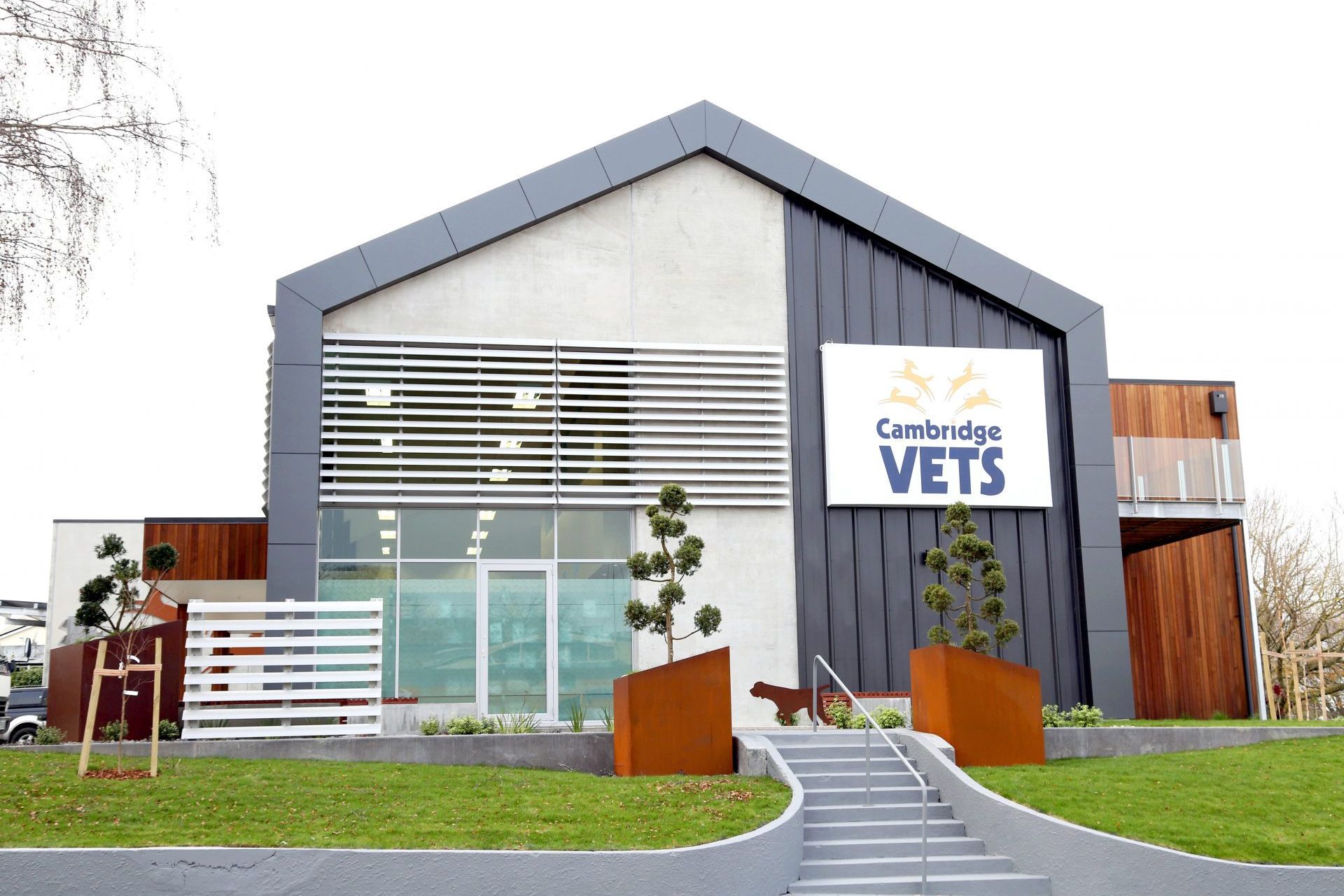 Cambridge Vets