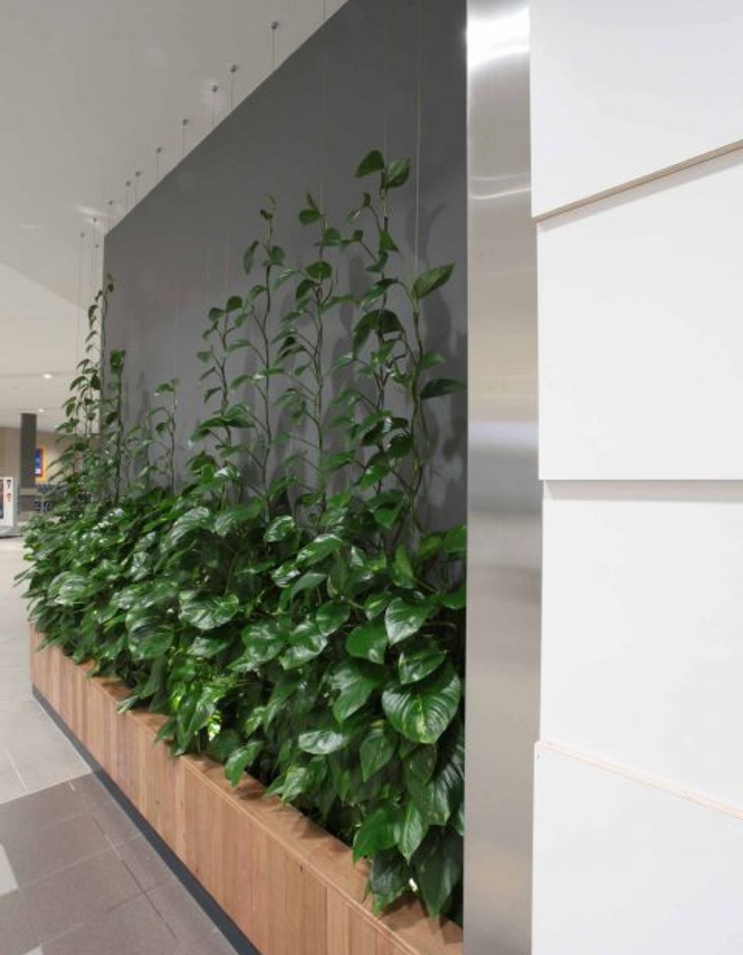 Help Street Health Street