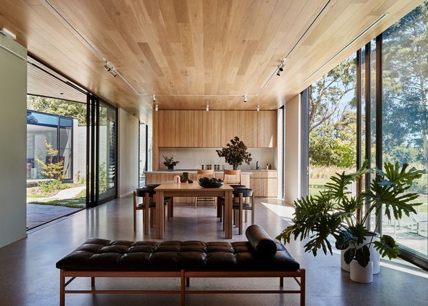 A bright, open-plan contemporary interior combining a dining area, kitchen and lounge. Full-height glazing on two sides overlooks landscaped grounds, while warm timber lining continues across the ceiling and kitchen cabinetry. A dark leather daybed sits in the foreground, with a timber dining table and chairs centered before a minimalist kitchen with an island and integrated cabinetry. Track lighting, polished concrete flooring and abundant indoor greenery complete the calm, refined space.