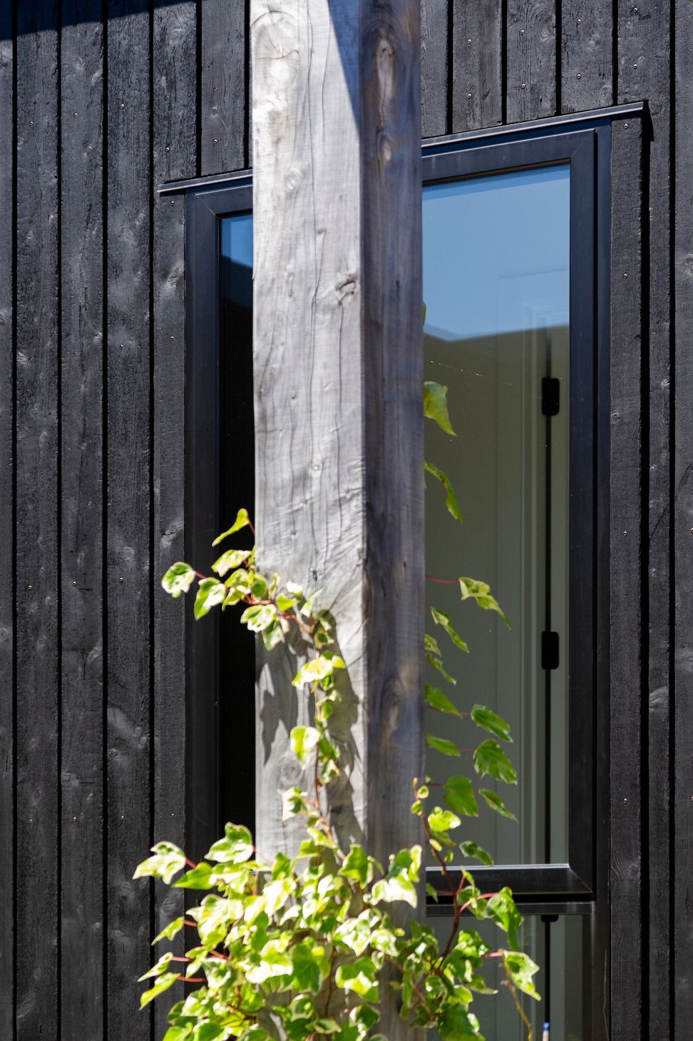 13BullridgePlaceWanaka028.jpg