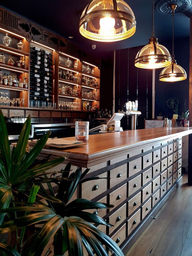 A richly styled bar interior with a long timber-topped counter and extensive drawer-front cabinetry, backlit bottle shelving, glassware, bar equipment, and three ornate pendant lights. Deep navy walls and ceiling contrast with warm wood, brass-toned lighting, and dark metal details. A large leafy plant occupies the foreground, while a decorative ceiling medallion and patterned upper wall trim add a dramatic, vintage-inspired character.