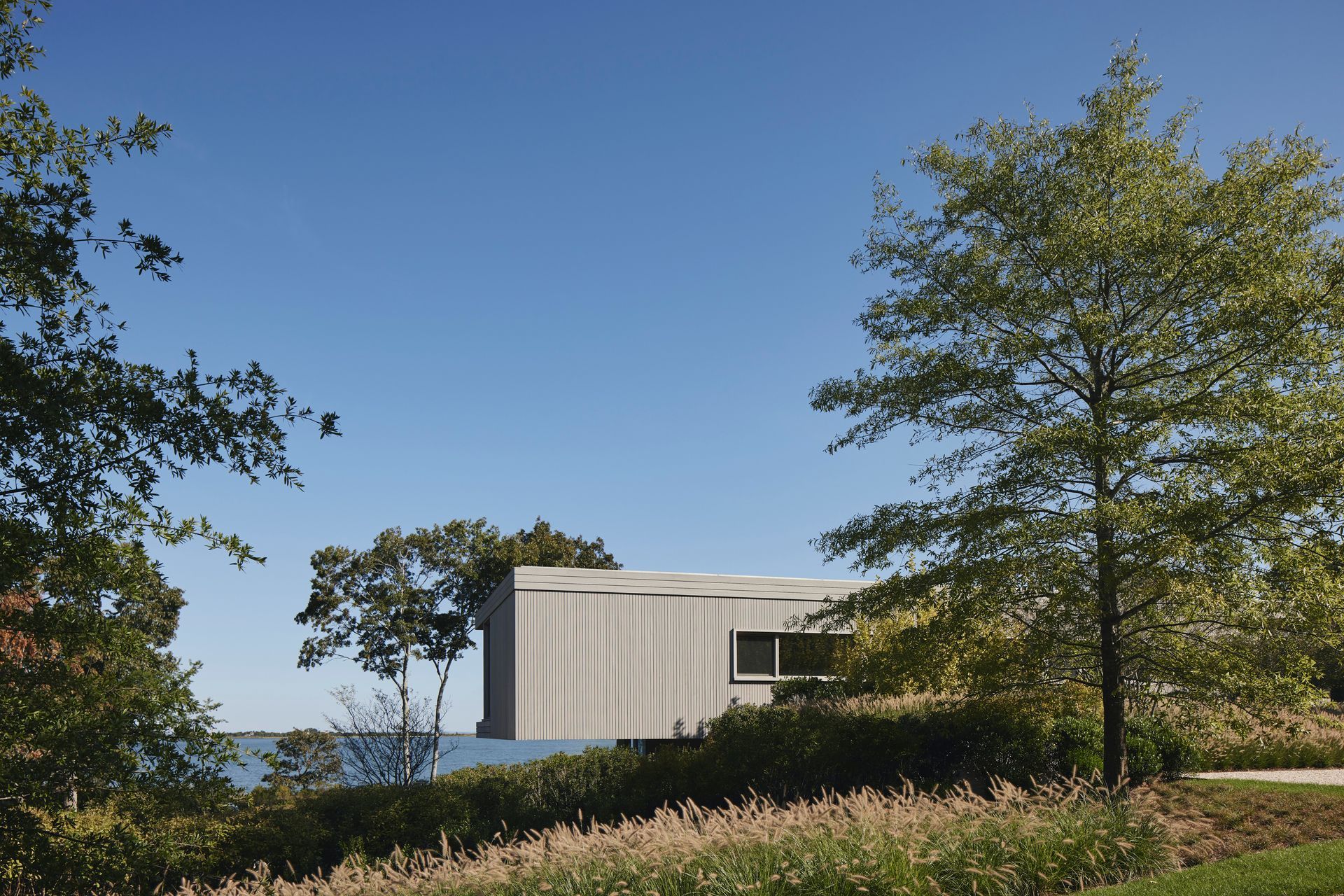 230919STELLESPRINGYglenallsop002.JPG