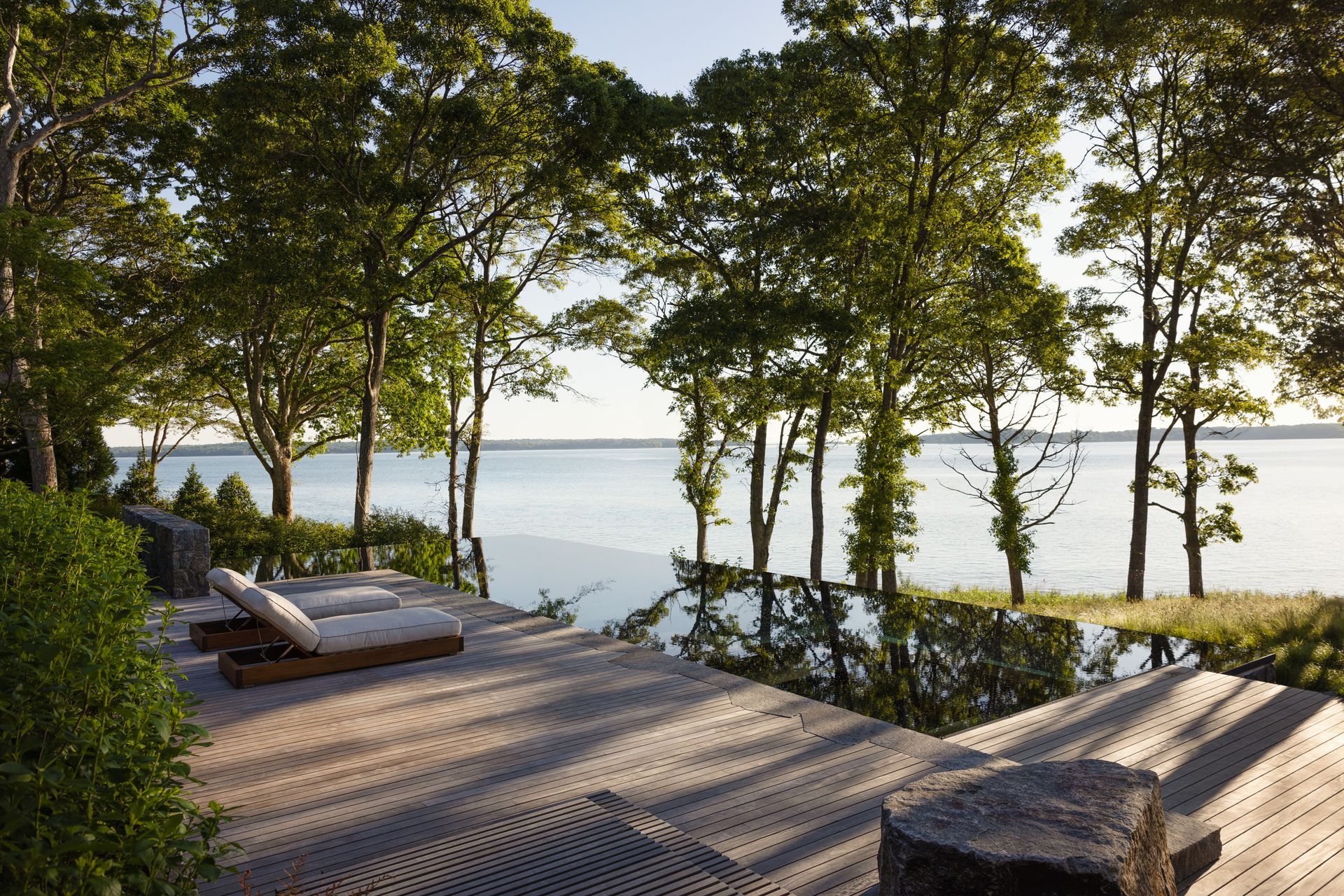 2415-BMAForest-1252-Web.jpg