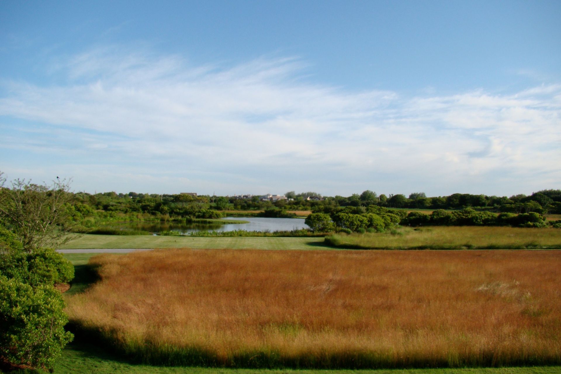 66Daniels-LaneUNKNOWNLRE.JPG